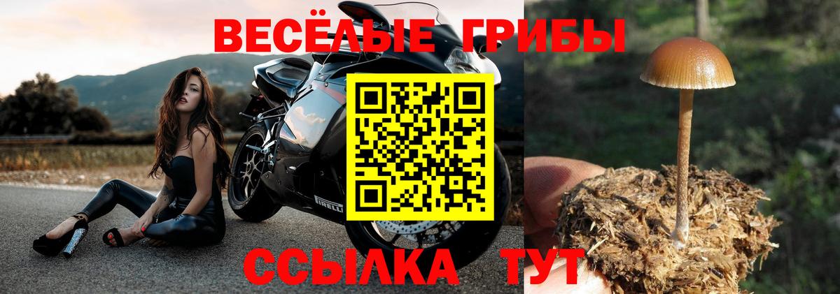 Галлюциногенные грибы прущие грибы Воркута