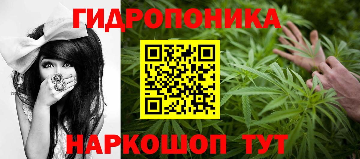 Псилоцибиновые грибы Воркута